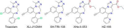 8-Substituted Triazolobenzodiazepines: In Vitro and In Vivo Pharmacology in Relation to Structural Docking at the α1 Subunit-Containing GABAA Receptor